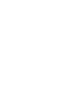 The mash up americans
